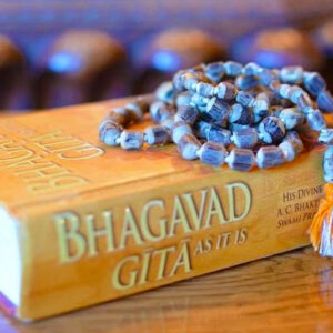 Gita Life Online