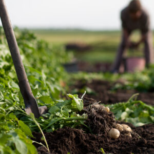 Organic Farming and Recycling