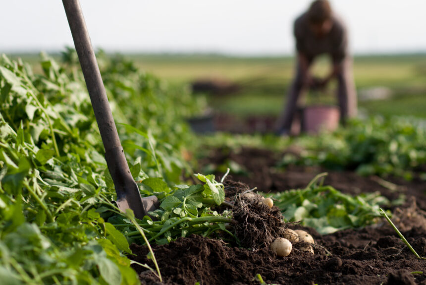 Organic Farming and Recycling