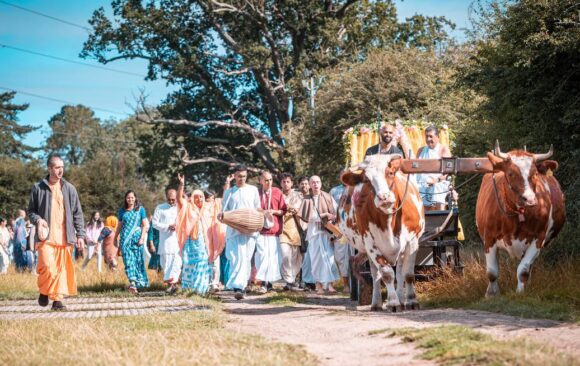 Ox-parade and Harvest Celebration