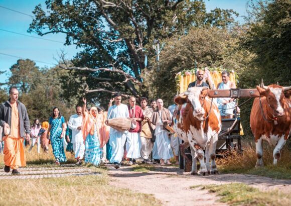 Ox-parade and Harvest Celebration