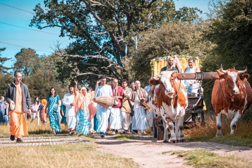 Ox-parade and Harvest Celebration